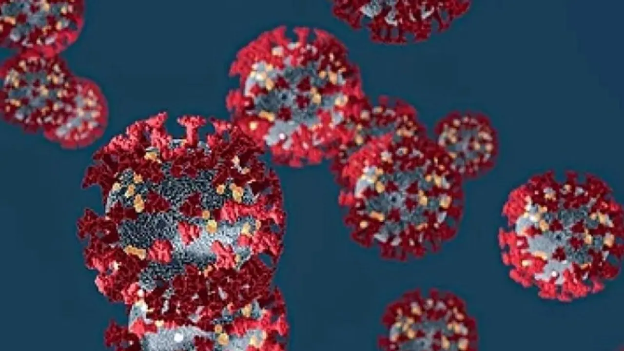 Coronavirus: Hand kissing ‘Baba’ spreads virus to many in MP before succumbing to COVID 19 Coronavirus: Hand kissing ‘Baba’ spreads virus to many in MP before succumbing to COVID 19