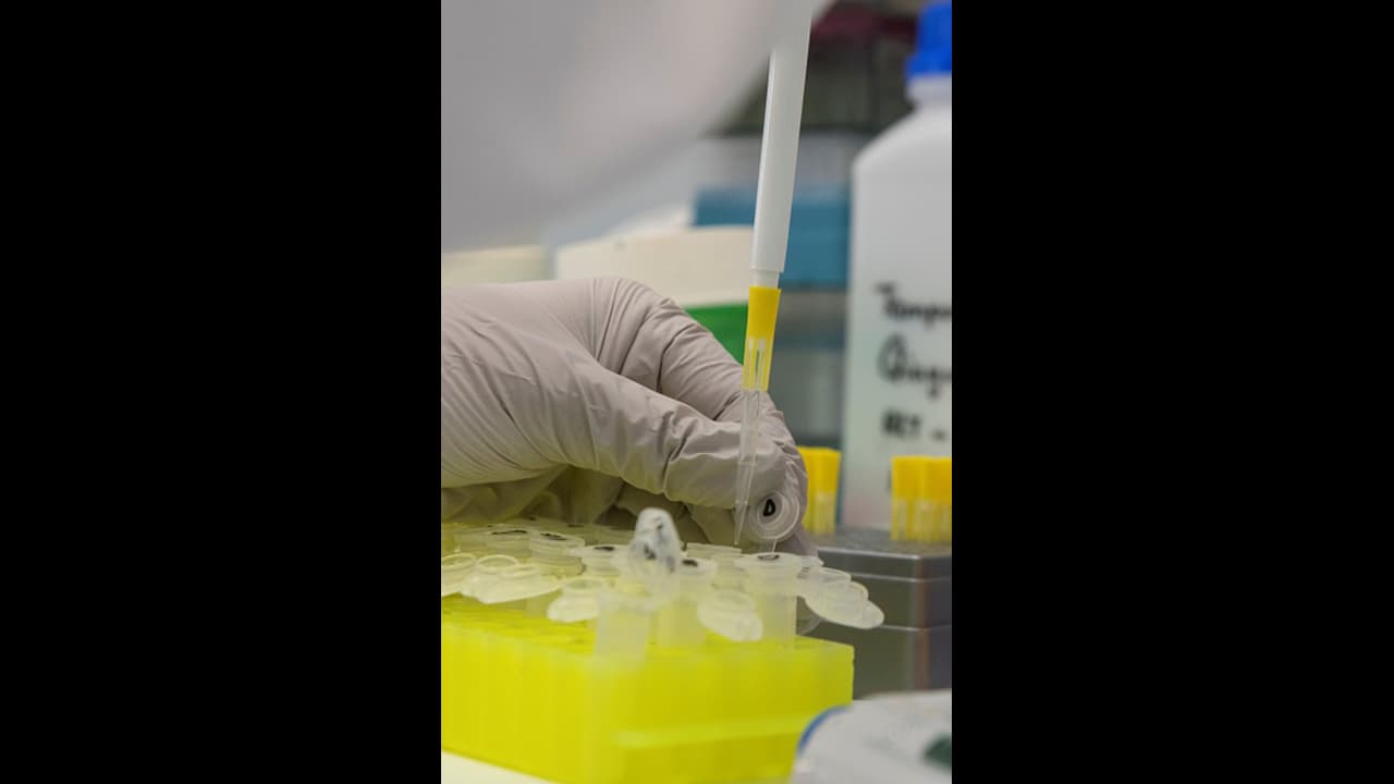 ಕಾರವಾರ ವ್ಯಕ್ತಿ ಕುವೈಟ್ನಲ್ಲಿ ಕೊರೋನಾಗೆ ಬಲಿ ಕಾರವಾರ ವ್ಯಕ್ತಿ ಕುವೈಟ್ನಲ್ಲಿ ಕೊರೋನಾಗೆ ಬಲಿ