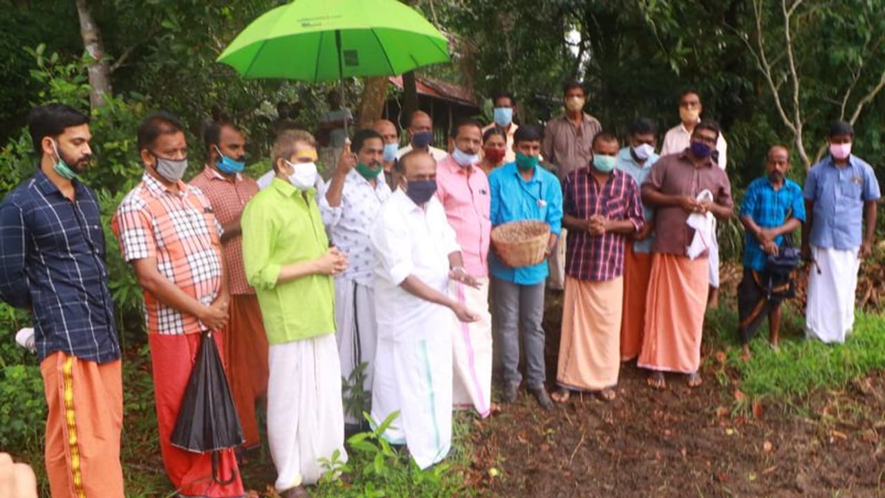 കഞ്ഞിക്കുഴിയില് നെൽ കൃഷിയിറക്കി ശാന്തിമാരുടെ സംഘം കഞ്ഞിക്കുഴിയില് നെൽ കൃഷിയിറക്കി ശാന്തിമാരുടെ സംഘം