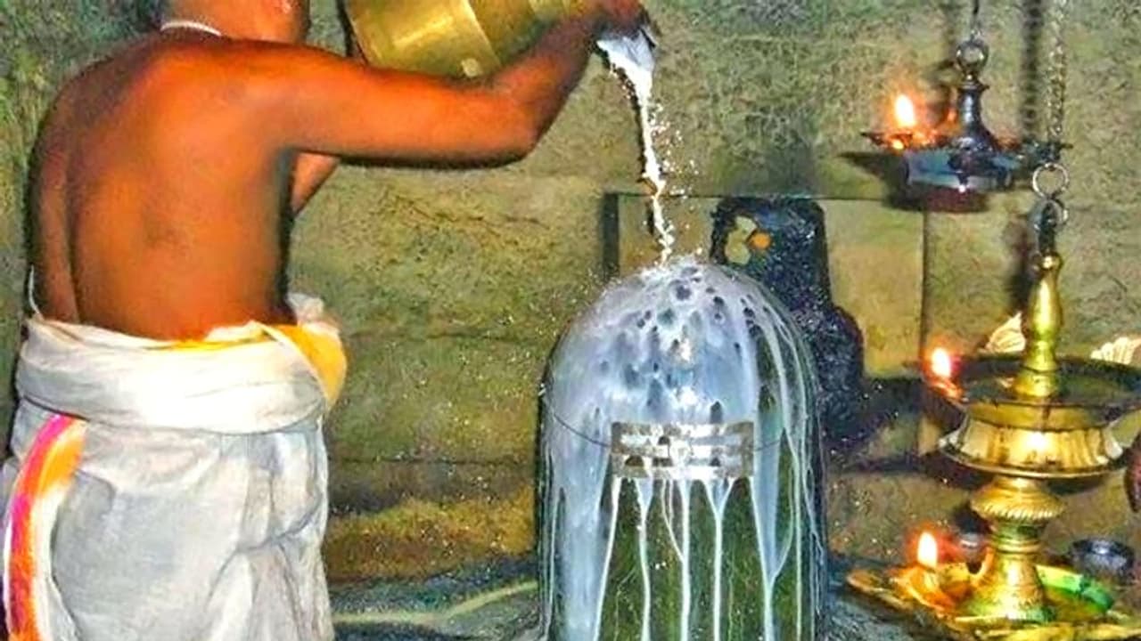 शुक्र ग्रह दे रहा है अशुभ फल तो करें ये आसान उपाय, मिल सकता है जीवन का हर सुख शुक्र ग्रह दे रहा है अशुभ फल तो करें ये आसान उपाय, मिल सकता है जीवन का हर सुख