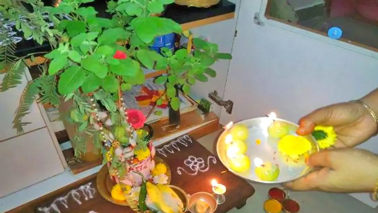 কালীপুজো পর্যন্ত বাড়ির তুলসী গাছে এই কাজগুলি করুন, আগামী মাসগুলিতে হবে না কোনও আর্থিক সমস্যা