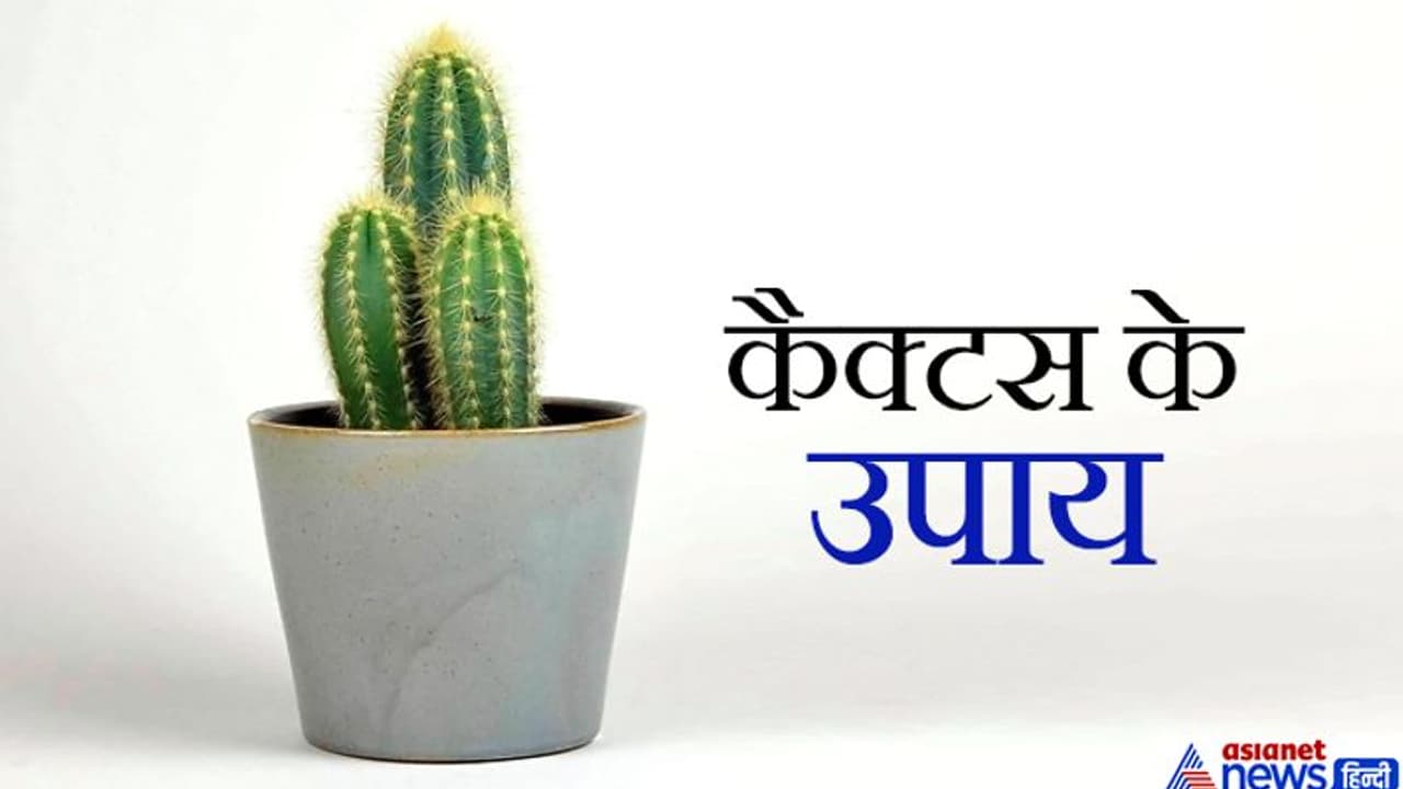 रात को तांबे के बर्तन में रखें पानी और सुबह कैक्टस में डाल दें, इससे दूर हो सकती है आपकी प्रॉब्लम्स रात को तांबे के बर्तन में रखें पानी और सुबह कैक्टस में डाल दें, इससे दूर हो सकती है आपकी प्रॉब्लम्स