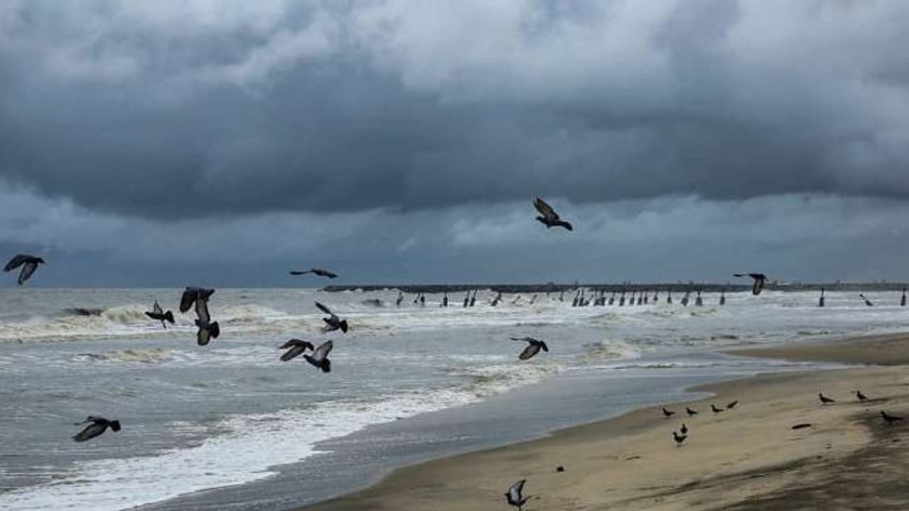 സംസ്ഥാനത്ത് വരുംദിവസങ്ങളിൽ മഴ കുറയും; പ്രളയസാധ്യത തള്ളിക്കളയാതെ വിദഗ്ധർ,ആറ് ജില്ലകളില്‍ ഇന്ന് യെല്ലോ അലര്‍ട്ട്