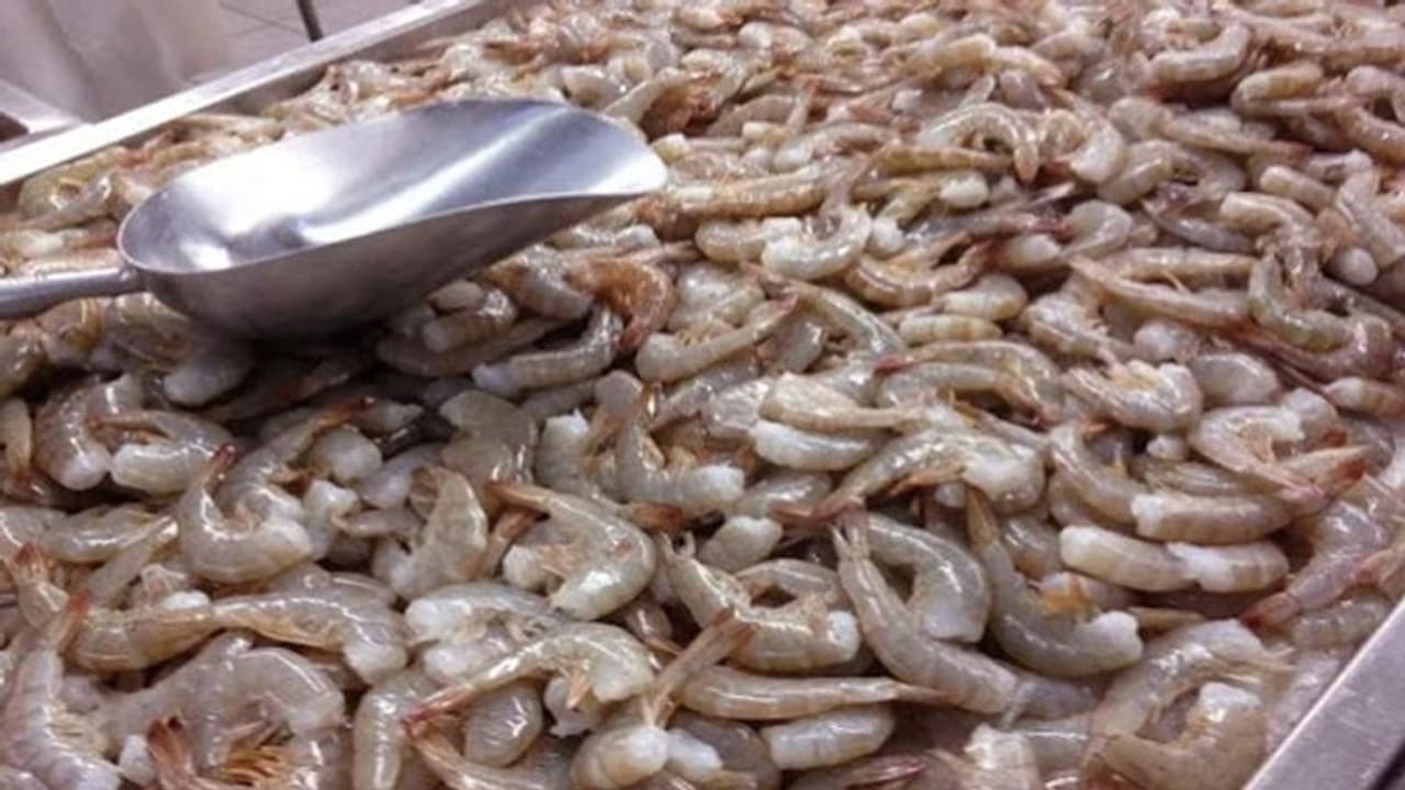 വൈറസ് സാന്നിദ്ധ്യം; ഇന്ത്യയില് നിന്നുള്ള ചെമ്മീന് ഇറക്കുമതിക്ക് നിയന്ത്രണം ഏര്പ്പെടുത്തി സൗദി അറേബ്യ വൈറസ് സാന്നിദ്ധ്യം; ഇന്ത്യയില് നിന്നുള്ള ചെമ്മീന് ഇറക്കുമതിക്ക് നിയന്ത്രണം ഏര്പ്പെടുത്തി സൗദി അറേബ്യ