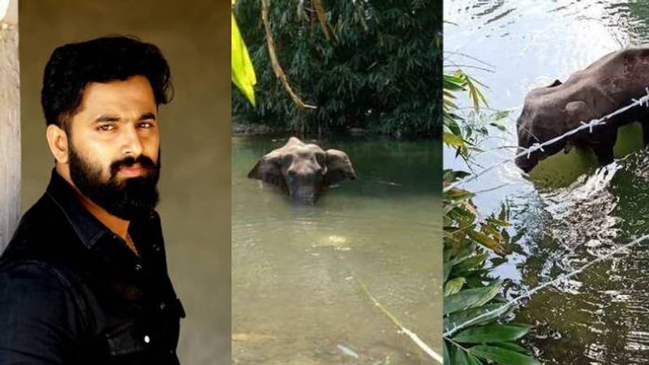 'വെറുതെ അല്ല ദൈവം കൊറോണ തന്നത്'; ആനയെ കൊലപ്പെടുത്തിയ സംഭവത്തില് ഉണ്ണി മുകുന്ദന് 'വെറുതെ അല്ല ദൈവം കൊറോണ തന്നത്'; ആനയെ കൊലപ്പെടുത്തിയ സംഭവത്തില് ഉണ്ണി മുകുന്ദന്