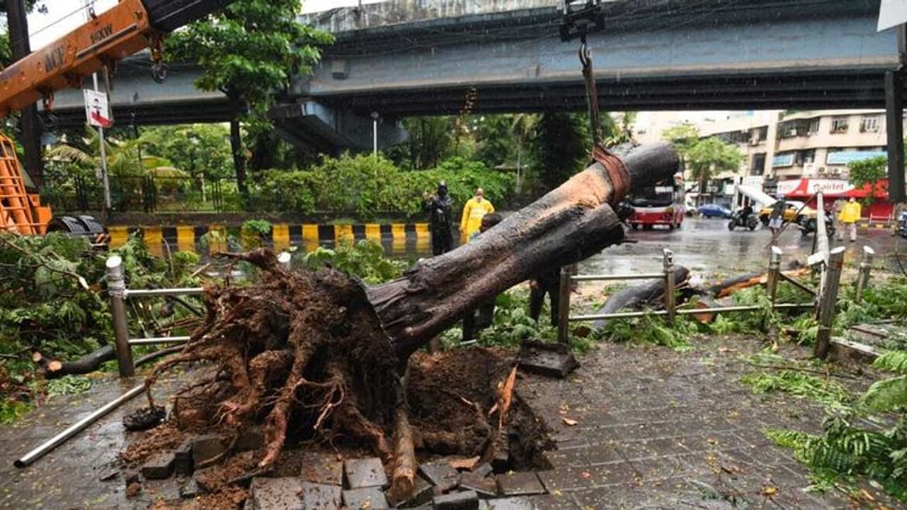 महाराष्ट्र से गुजरा चक्रवात निसर्ग कमजोर पड़ा, रायगढ़, सिंधुदुर्ग और रत्नागिरी सबसे अधिक प्रभावित महाराष्ट्र से गुजरा चक्रवात निसर्ग कमजोर पड़ा, रायगढ़, सिंधुदुर्ग और रत्नागिरी सबसे अधिक प्रभावित