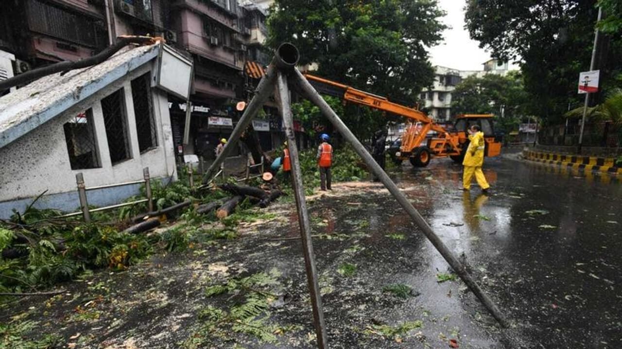 Cyclone Nisarga, Nisarga, Nisarga Mumbai,cyclone nisarga 2020, cyclone nisarga tracker,cyclone nisarga path map,cyclone nisarga mumbai,cyclone nisarga in hindi,cyclone nisarga category,cyclone nisarga current position,cyclone nisarg pune,another cyclone nisarga,cyclone nisarga bay of bengal,cyclone nisarga coming,cyclone nisarga coming date,cyclone nisarga date,cyclone nisarga details,cyclone nisarga expected date,cyclone nisarga forecast,cyclone nisarga fake news,cyclone nisarga goa,cyclone nisarga imd,cyclone nisarga in mumbai,cyclone nisarga in india,cyclone nisarga in west bengal,cyclone nisarga is coming,cyclone nisarga in kolkata,cyclone nisarga kolkata,cyclone nisarga live,cyclone nisarga location Cyclone Nisarga, Nisarga, Nisarga Mumbai,cyclone nisarga 2020, cyclone nisarga tracker,cyclone nisarga path map,cyclone nisarga mumbai,cyclone nisarga in hindi,cyclone nisarga category,cyclone nisarga current position,cyclone nisarg pune,another cyclone nisarga,cyclone nisarga bay of bengal,cyclone nisarga coming,cyclone nisarga coming date,cyclone nisarga date,cyclone nisarga details,cyclone nisarga expected date,cyclone nisarga forecast,cyclone nisarga fake news,cyclone nisarga goa,cyclone nisarga imd,cyclone nisarga in mumbai,cyclone nisarga in india,cyclone nisarga in west bengal,cyclone nisarga is coming,cyclone nisarga in kolkata,cyclone nisarga kolkata,cyclone nisarga live,cyclone nisarga location