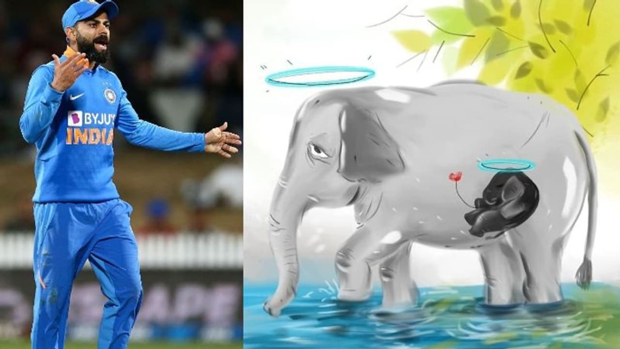 'ഈ ഭീരുത്വം നിര്ത്താന് സമയമായി'; പിടിയാനയുടെ മരണത്തില് പ്രതികരണവുമായി കോലി 'ഈ ഭീരുത്വം നിര്ത്താന് സമയമായി'; പിടിയാനയുടെ മരണത്തില് പ്രതികരണവുമായി കോലി