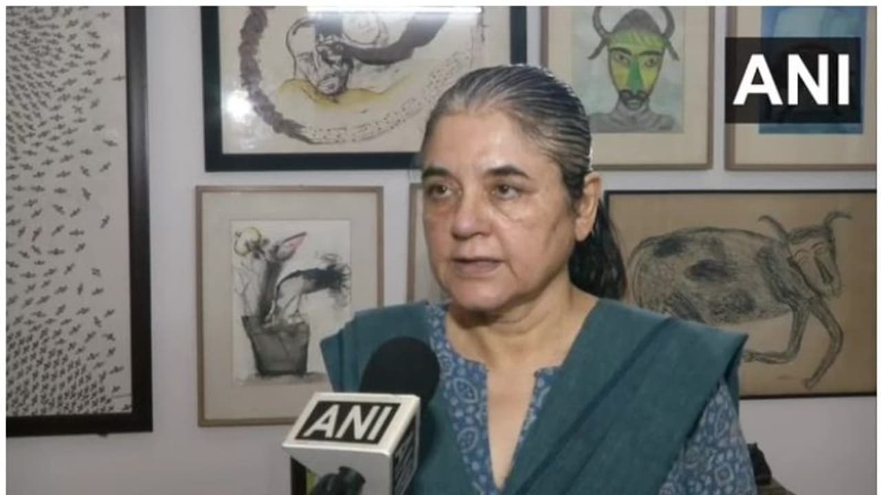 സ്ഫോടകവസ്തു കടിച്ച് ആന ചരിഞ്ഞ സംഭവം; മലപ്പുറം ജില്ലക്കെതിരെ രൂക്ഷവിമർശനവുമായി മനേകാ ​ഗാന്ധി