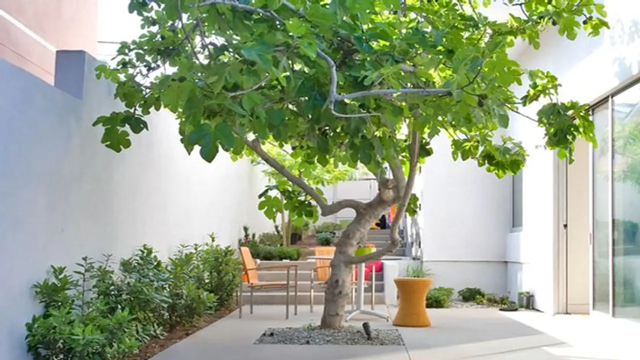 আয়ের পরিমান বাড়াতে পরিশ্রমের পাশাপাশি নজর দিন বাস্তুতে, মেনে চলুন এই কটি নিয়ম