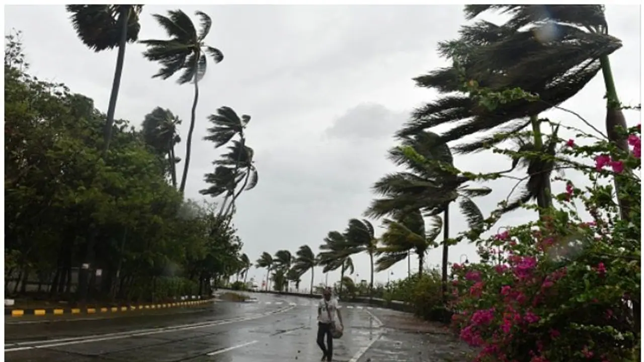 സംസ്ഥാനത്ത് കാലവർഷം സജീവമാകുന്നു; 12 ജില്ലകളിൽ യെല്ലോ അലർട്ട് സംസ്ഥാനത്ത് കാലവർഷം സജീവമാകുന്നു; 12 ജില്ലകളിൽ യെല്ലോ അലർട്ട്
