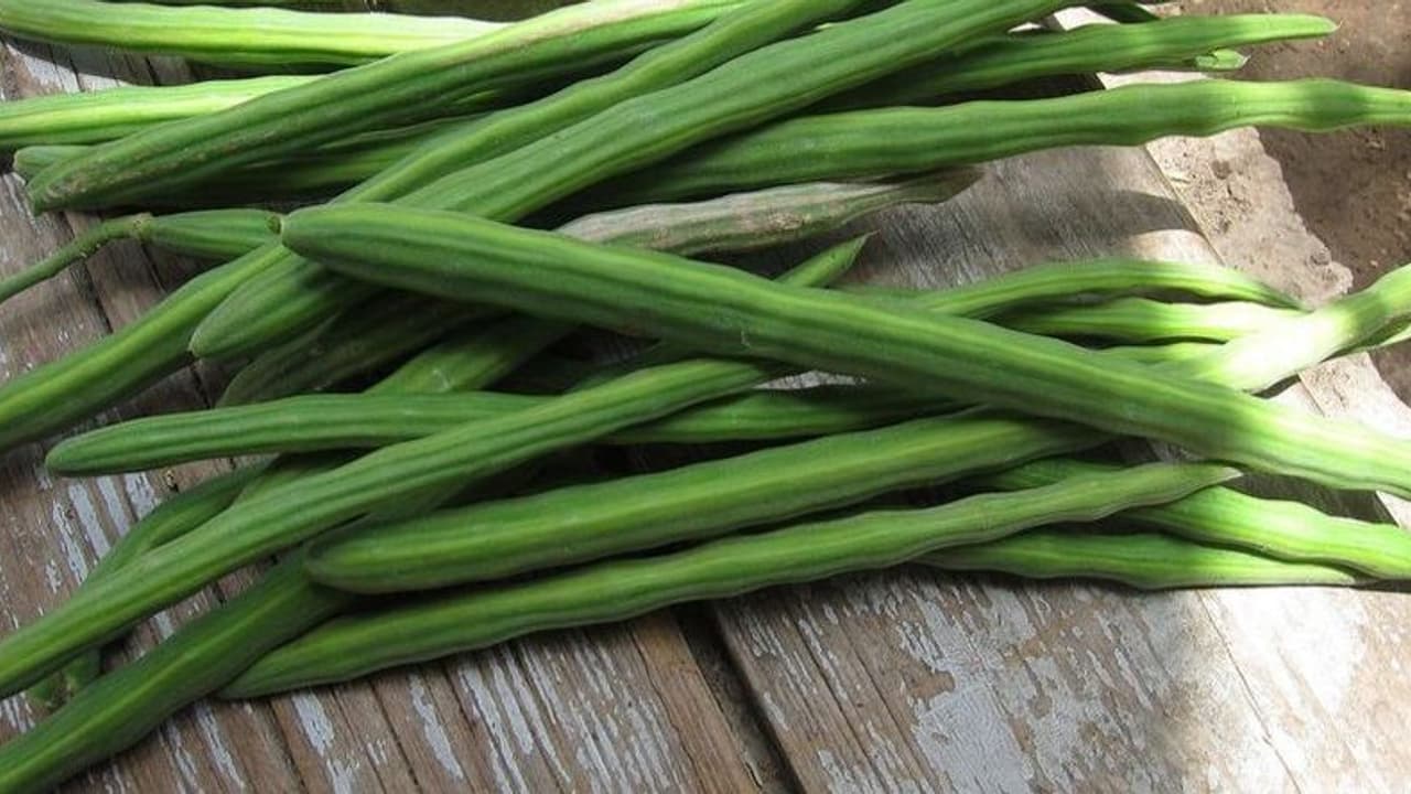 Rain Effect: ಕೇಜಿಗೆ 360 ರೂ.: ನುಗ್ಗೆಕಾಯಿ ಬೆಲೆ ಕೇಳಿ ಸುಸ್ತಾದ ಗ್ರಾಹಕ..!