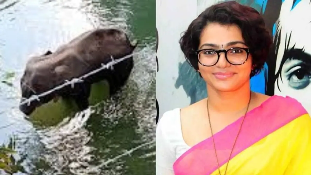 'മൃഗങ്ങള്ക്കെതിരായ അതിക്രമം നിര്ത്തണം, ഒരു വിഭാഗത്തെ ലക്ഷ്യമിട്ട് വിദ്വേഷമുണ്ടാക്കുന്നവരോട് ലജ്ജ തോന്നുന്നു' 'മൃഗങ്ങള്ക്കെതിരായ അതിക്രമം നിര്ത്തണം, ഒരു വിഭാഗത്തെ ലക്ഷ്യമിട്ട് വിദ്വേഷമുണ്ടാക്കുന്നവരോട് ലജ്ജ തോന്നുന്നു'