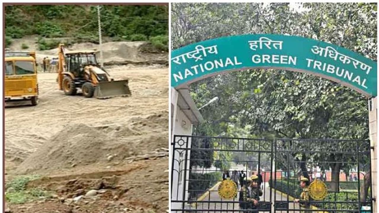 പമ്പയിലെ മണൽനീക്കം; ദേശീയ ഹരിത ട്രിബ്യൂണൽ സംസ്ഥാന സർക്കാരിനോട് വിശദീകരണം തേടി പമ്പയിലെ മണൽനീക്കം; ദേശീയ ഹരിത ട്രിബ്യൂണൽ സംസ്ഥാന സർക്കാരിനോട് വിശദീകരണം തേടി