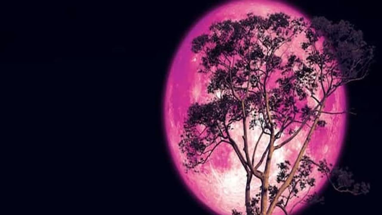 Strawberry Moon: నేడు ఆకాశంలో అద్భుత దృశ్యం.. భూమికి అత్యంత చేరువగా చంద్రుడు Strawberry Moon: నేడు ఆకాశంలో అద్భుత దృశ్యం.. భూమికి అత్యంత చేరువగా చంద్రుడు