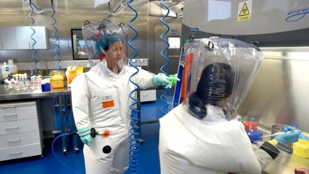 Joint WHO China study states animals likely source of COVID 19 Joint WHO China study states animals likely source of COVID 19