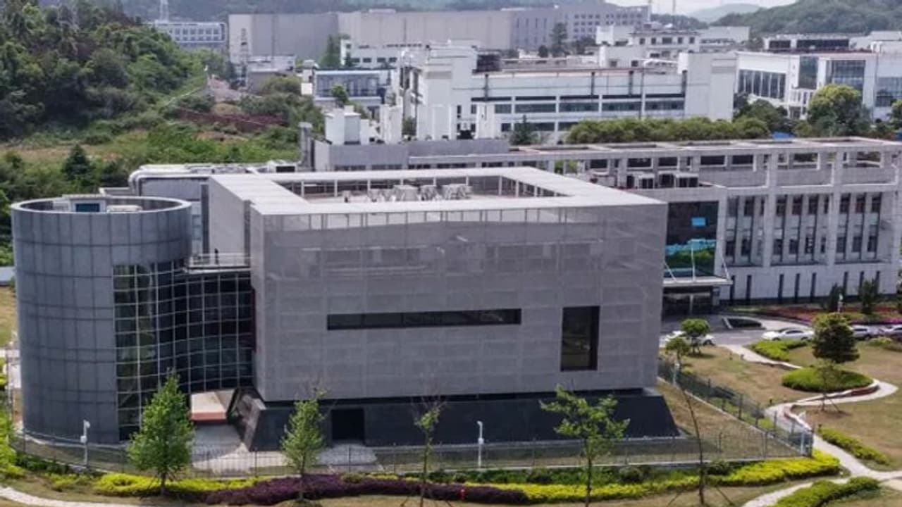 ৭ বছর আগেই উহানের ল্যাবে ছিল করোনার মত ভাইরাল স্ট্রেইন, পরীক্ষাগারে কি 'মারণাস্ত্র' তৈরি করছিল চিন ৭ বছর আগেই উহানের ল্যাবে ছিল করোনার মত ভাইরাল স্ট্রেইন, পরীক্ষাগারে কি 'মারণাস্ত্র' তৈরি করছিল চিন