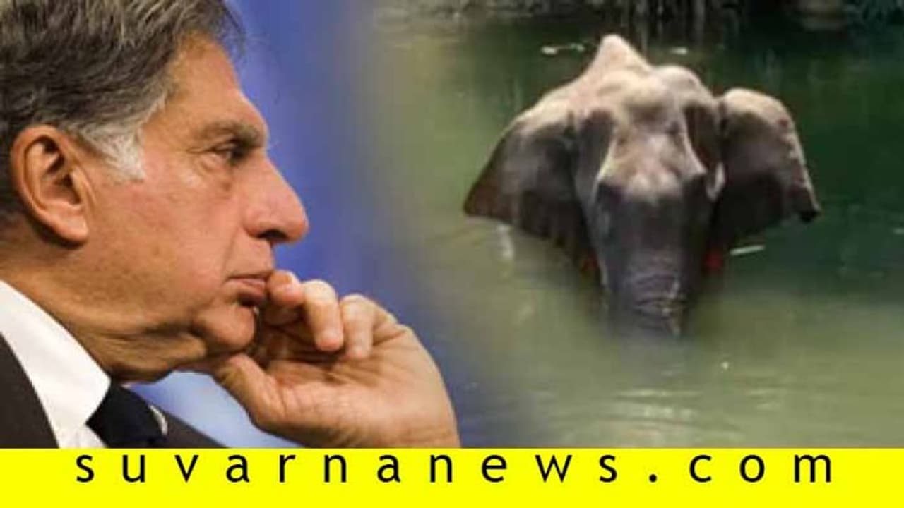 ಉದ್ದೇಶ ಪೂರ್ವಕ ಕೊಲೆಗೆ ಸಮ; ಗರ್ಭಿಣಿ ಆನೆ ಕೊಂದ ಘಟನೆ ಖಂಡಿಸಿದ ರತನ್ ಟಾಟಾ! ಉದ್ದೇಶ ಪೂರ್ವಕ ಕೊಲೆಗೆ ಸಮ; ಗರ್ಭಿಣಿ ಆನೆ ಕೊಂದ ಘಟನೆ ಖಂಡಿಸಿದ ರತನ್ ಟಾಟಾ!