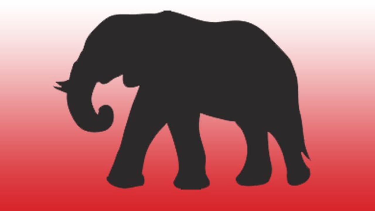 കരുവാരകുണ്ടിൽ കാട്ടാനയെ അവശനിലയിൽ കണ്ടെത്തി