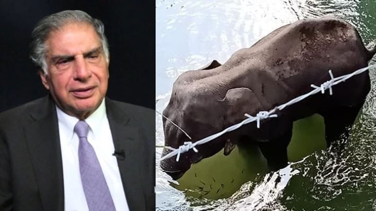 'ഇത് കരുതിക്കൂട്ടിയുള്ള കൊലപാതകം'; ആന ചരിഞ്ഞ സംഭവത്തില് പ്രതികരണവുമായി രത്തൻ ടാറ്റ 'ഇത് കരുതിക്കൂട്ടിയുള്ള കൊലപാതകം'; ആന ചരിഞ്ഞ സംഭവത്തില് പ്രതികരണവുമായി രത്തൻ ടാറ്റ