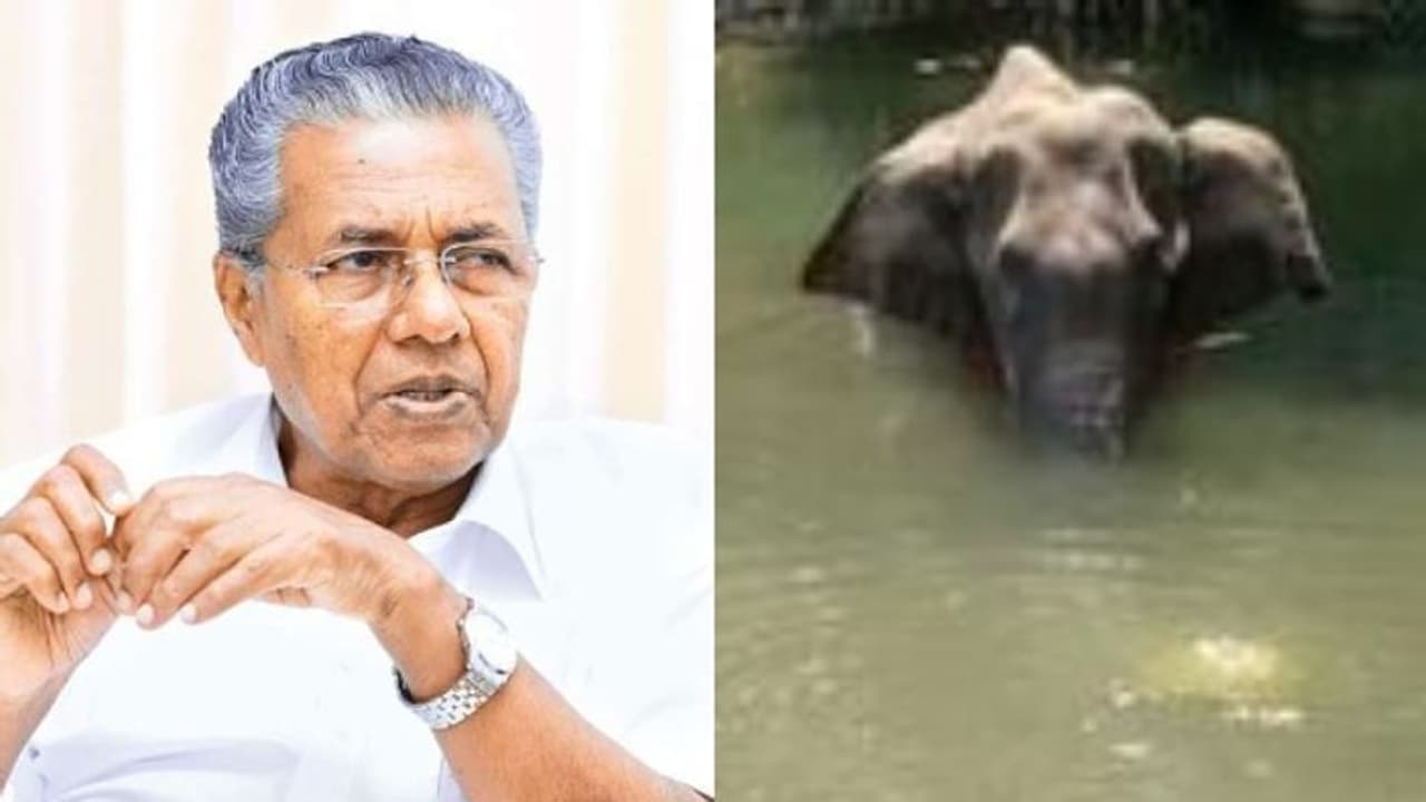 കാട്ടാന ചരിഞ്ഞ സംഭവം; വര്ഗ്ഗീയ പ്രചാരണങ്ങള്ക്കെതിരെ മുഖ്യമന്ത്രി പിണറായി വിജയന് കാട്ടാന ചരിഞ്ഞ സംഭവം; വര്ഗ്ഗീയ പ്രചാരണങ്ങള്ക്കെതിരെ മുഖ്യമന്ത്രി പിണറായി വിജയന്