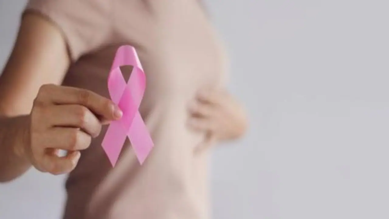 കാന്സര് പ്രതിരോധിക്കേണ്ടത് എങ്ങനെ; ശ്രദ്ധിക്കേണ്ട കാര്യങ്ങൾ ഇവയാണ് കാന്സര് പ്രതിരോധിക്കേണ്ടത് എങ്ങനെ; ശ്രദ്ധിക്കേണ്ട കാര്യങ്ങൾ ഇവയാണ്