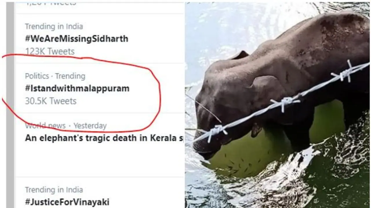 'ഐ സ്റ്റാന്ഡ് വിത്ത് മലപ്പുറം'; വിദ്വേഷ പ്രചാരണത്തിനെതിരെ പ്രതിഷേധം, ട്വിറ്ററില് ട്രന്ഡിംഗ് 'ഐ സ്റ്റാന്ഡ് വിത്ത് മലപ്പുറം'; വിദ്വേഷ പ്രചാരണത്തിനെതിരെ പ്രതിഷേധം, ട്വിറ്ററില് ട്രന്ഡിംഗ്