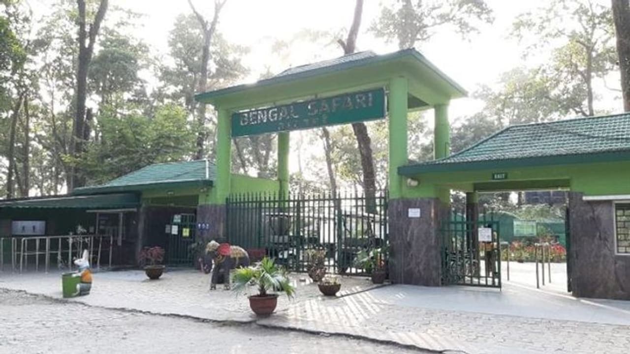 পর্যটকদের জন্য় সুখবর, আনলক পর্বে খুলছে শিলিগুড়ির বেঙ্গল সাফারি পার্কও পর্যটকদের জন্য় সুখবর, আনলক পর্বে খুলছে শিলিগুড়ির বেঙ্গল সাফারি পার্কও