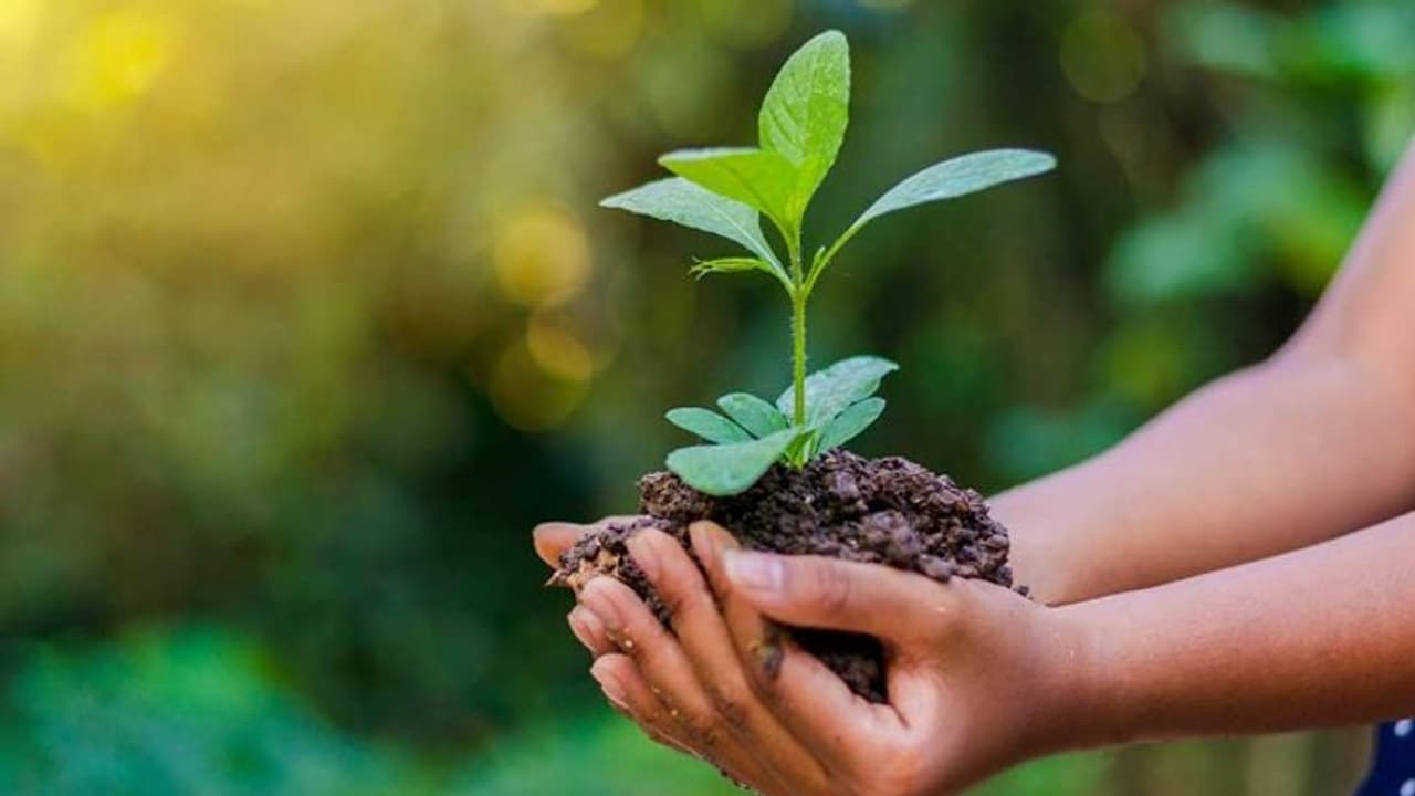 ജൈവ വൈവിധ്യത്തെ ആഘോഷമാക്കുക: ഇന്ന് ലോക പരിസ്ഥിതി ദിനം ജൈവ വൈവിധ്യത്തെ ആഘോഷമാക്കുക: ഇന്ന് ലോക പരിസ്ഥിതി ദിനം