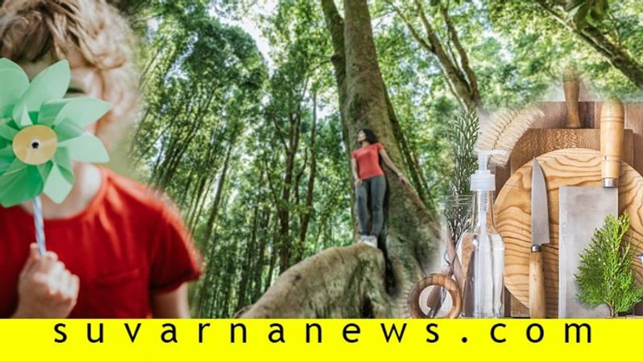 ಆಧುನಿಕ ಇಕೋ ಫ್ರೆಂಡ್ಲಿ ಐಡಿಯಾಗಳು; ನೀವು ಟ್ರೈ ಮಾಡಿ! ಆಧುನಿಕ ಇಕೋ ಫ್ರೆಂಡ್ಲಿ ಐಡಿಯಾಗಳು; ನೀವು ಟ್ರೈ ಮಾಡಿ!