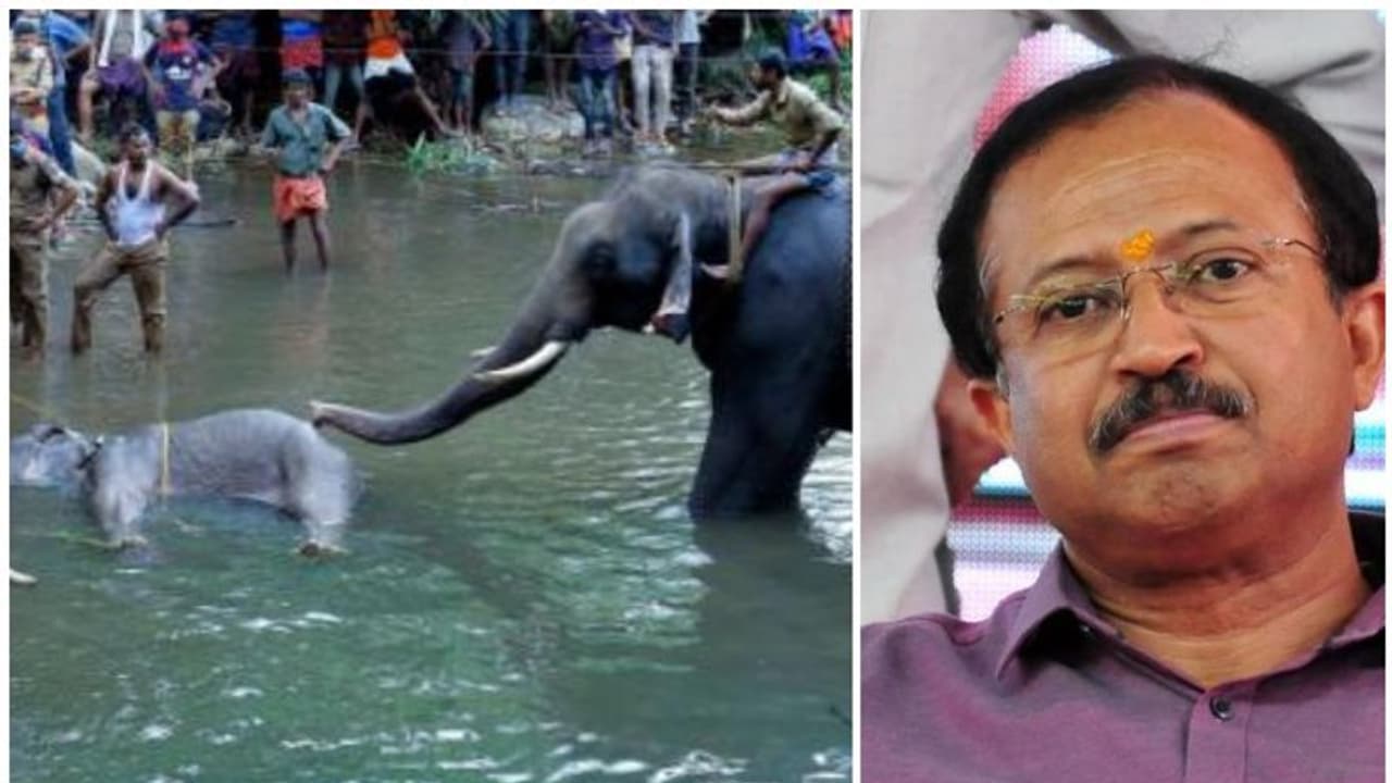 കാട്ടാന ചരിഞ്ഞ സംഭവം; മലപ്പുറം വിവാദത്തിൽ പ്രതികരണവുമായി വി മുരളീധരൻ