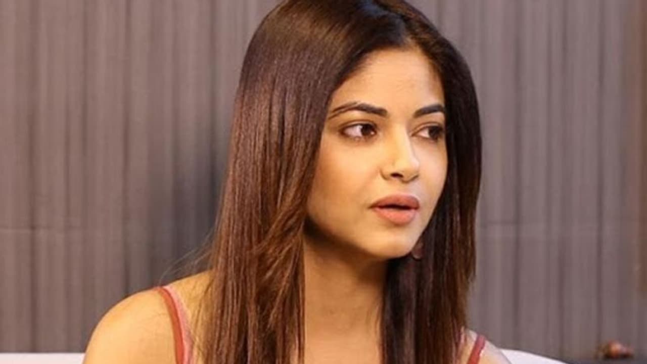 వామ్మో, మీరా చోప్రాకు ఎన్టీఆర్ ఫ్యాన్స్ నుంచి 30 వేల చెత్త ట్వీట్స్ వచ్చాయట వామ్మో, మీరా చోప్రాకు ఎన్టీఆర్ ఫ్యాన్స్ నుంచి 30 వేల చెత్త ట్వీట్స్ వచ్చాయట