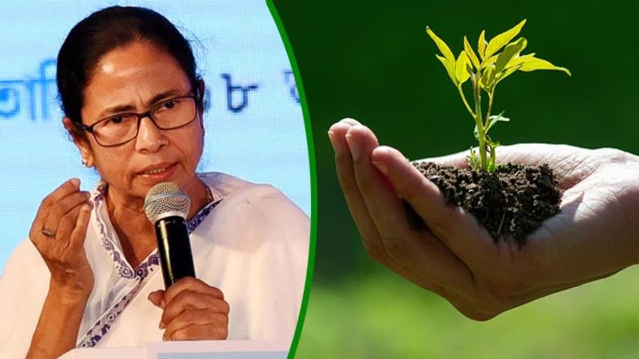 বিশ্ব পরিবেশ দিবসে আমফানে বাংলার ক্ষতি মাপতে সফর কেন্দ্রীয় দলের, টুইটে কী বললেন মমতা বিশ্ব পরিবেশ দিবসে আমফানে বাংলার ক্ষতি মাপতে সফর কেন্দ্রীয় দলের, টুইটে কী বললেন মমতা