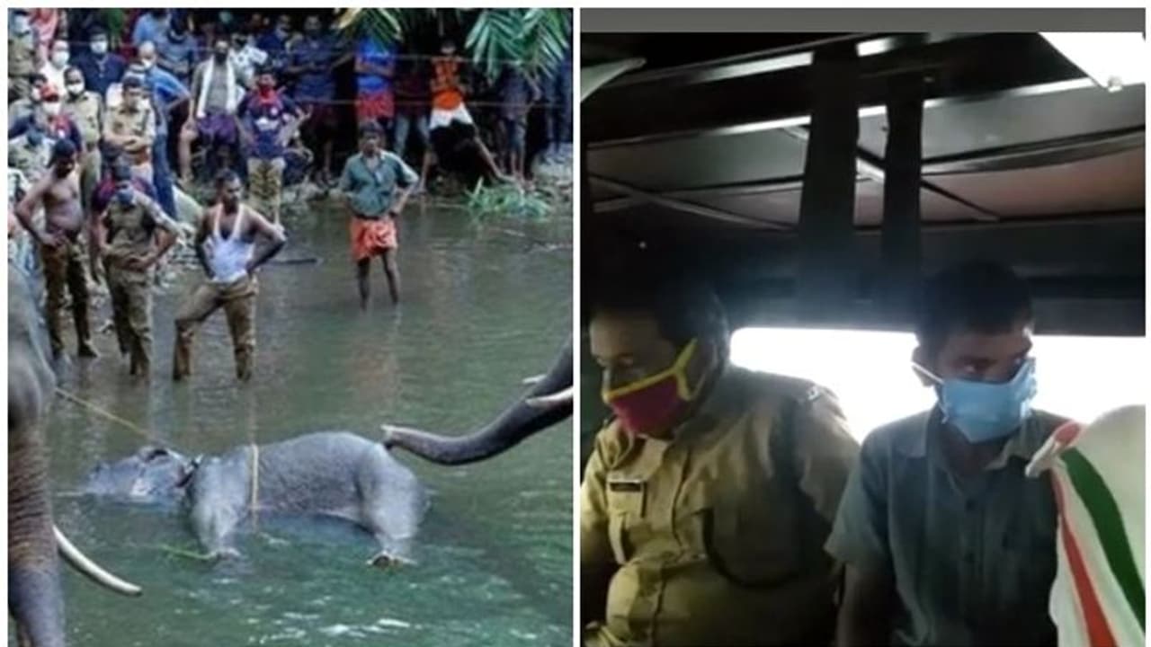 കാട്ടാന ചരിഞ്ഞ സംഭവത്തിൽ പ്രതി വിൽസണെ കോടതി റിമാന്റ് ചെയ്തു കാട്ടാന ചരിഞ്ഞ സംഭവത്തിൽ പ്രതി വിൽസണെ കോടതി റിമാന്റ് ചെയ്തു