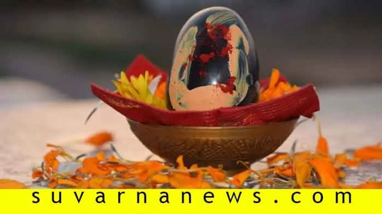 ಸಾಲಿಗ್ರಾಮ ಪೂಜೆಯಿಂದ ನಿಮ್ಮ ಇಷ್ಟಾರ್ಥ ಸಿದ್ಧಿ ಖಚಿತ! ಸಾಲಿಗ್ರಾಮ ಪೂಜೆಯಿಂದ ನಿಮ್ಮ ಇಷ್ಟಾರ್ಥ ಸಿದ್ಧಿ ಖಚಿತ!