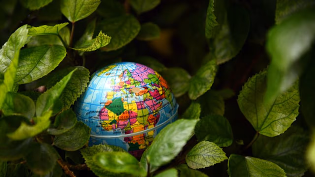 বিশ্বব্যাপী মৃত্যুর অন্যতম প্রধান কারণ দূষণ, বিশ্ব পরিবেষ দিবসে কি জানালেন চিকিৎসক অর্ণব বেরা বিশ্বব্যাপী মৃত্যুর অন্যতম প্রধান কারণ দূষণ, বিশ্ব পরিবেষ দিবসে কি জানালেন চিকিৎসক অর্ণব বেরা