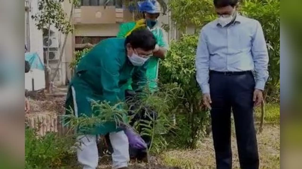 সবুজায়নে নিযুক্ত হবে স্কুল বিশ্ববিদ্যালয়ও, বিশ্ব পরিবেশ দিবসে জানালেন পরিবেশ মন্ত্রী সবুজায়নে নিযুক্ত হবে স্কুল বিশ্ববিদ্যালয়ও, বিশ্ব পরিবেশ দিবসে জানালেন পরিবেশ মন্ত্রী