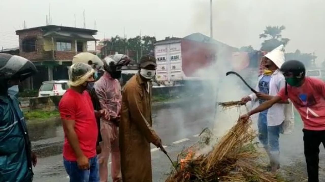 বিশ্ব পরিবেশ দিবসে 'সবুজ অভিযান', শিলিগুড়িতে পুড়ল গাছ বিশ্ব পরিবেশ দিবসে 'সবুজ অভিযান', শিলিগুড়িতে পুড়ল গাছ