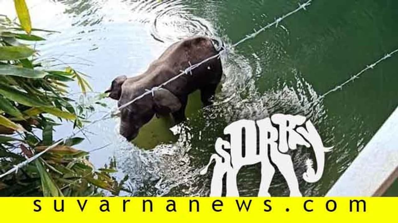 ಮಾನವೀಯತೆ ಮರೆತ ಮಾನವರೆ, ನನ್ನ ಶಾಪ ನಿಮ್ಮನ್ನು ತಟ್ಟದೆ ಬಿಡದು! ಮಾನವೀಯತೆ ಮರೆತ ಮಾನವರೆ, ನನ್ನ ಶಾಪ ನಿಮ್ಮನ್ನು ತಟ್ಟದೆ ಬಿಡದು!