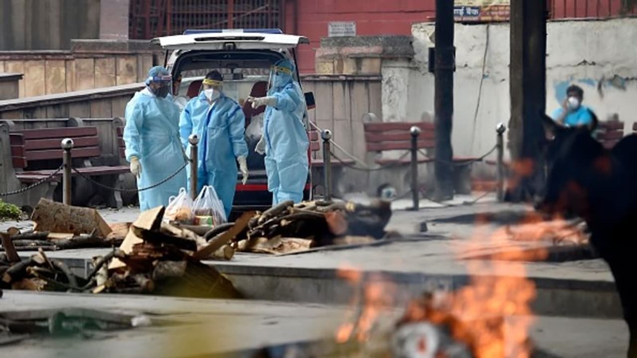 ദില്ലിയിലെ മരണസംഖ്യ ശരിക്കും എത്ര? സർക്കാർ കണക്കിന്റെ ഇരട്ടി മരണമെന്ന് കോർപ്പറേഷൻ ദില്ലിയിലെ മരണസംഖ്യ ശരിക്കും എത്ര? സർക്കാർ കണക്കിന്റെ ഇരട്ടി മരണമെന്ന് കോർപ്പറേഷൻ