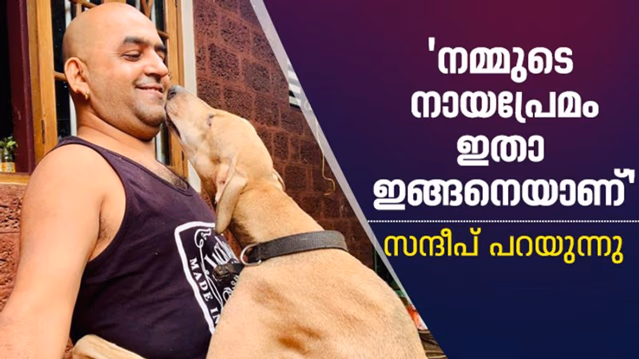 മുധോള് ഹൗണ്ടും ഗോള്ഡന് റിട്രീവറും സന്ദീപിന്റെ ചങ്ങാതിമാര്; നായ്ക്കളെ അറിയാന് സാഹസിക യാത്രയ്ക്കും തയ്യാര് മുധോള് ഹൗണ്ടും ഗോള്ഡന് റിട്രീവറും സന്ദീപിന്റെ ചങ്ങാതിമാര്; നായ്ക്കളെ അറിയാന് സാഹസിക യാത്രയ്ക്കും തയ്യാര്