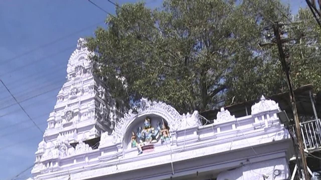 వేములవాడ రాజన్న ఆలయంలో అపచారం వేములవాడ రాజన్న ఆలయంలో అపచారం