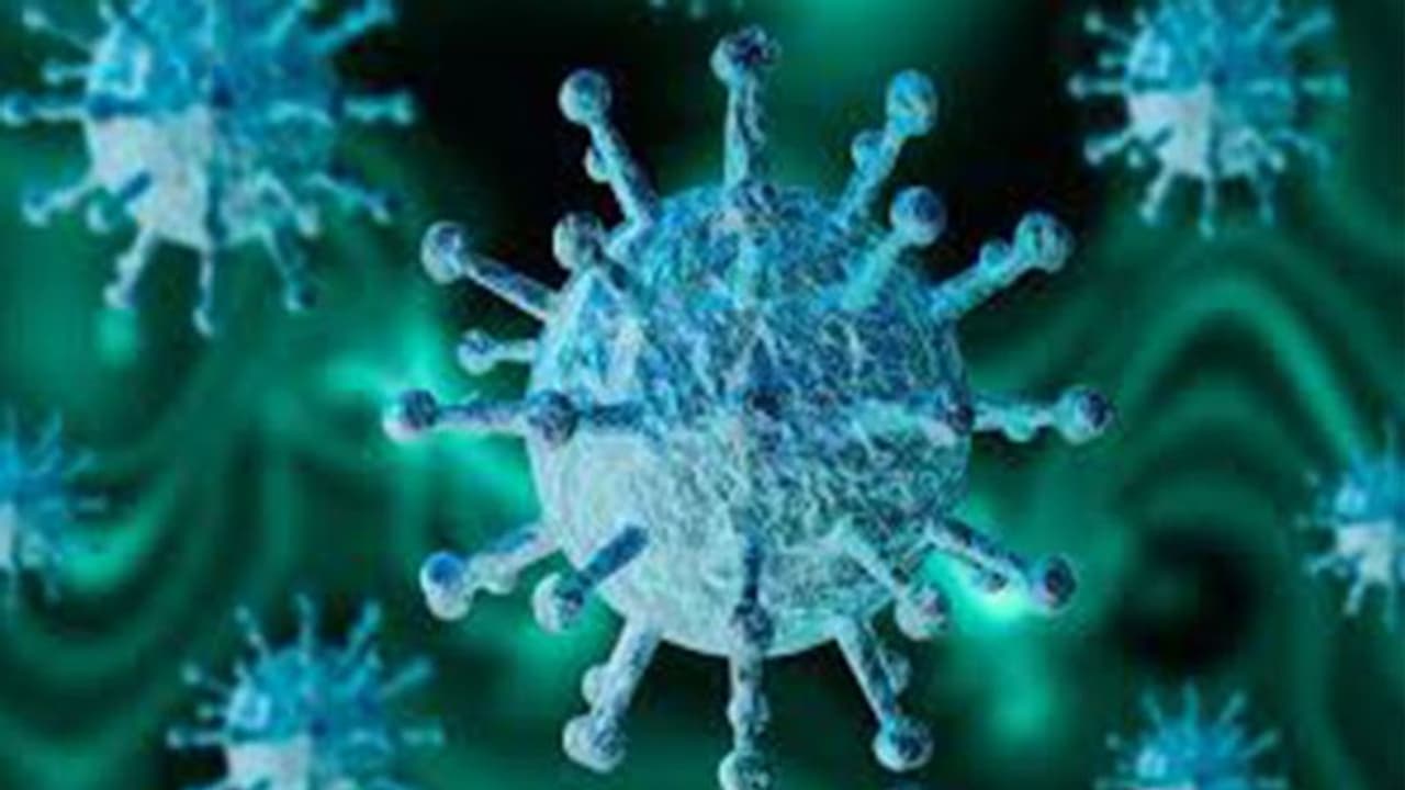 കോഴിക്കോട് ജില്ലയില് നാല് പേര്ക്ക് കൊവിഡ്; എയര് ഇന്ത്യ ജീവനക്കാരടക്കം ഏഴ് പേര്ക്ക് രോഗമുക്തി കോഴിക്കോട് ജില്ലയില് നാല് പേര്ക്ക് കൊവിഡ്; എയര് ഇന്ത്യ ജീവനക്കാരടക്കം ഏഴ് പേര്ക്ക് രോഗമുക്തി