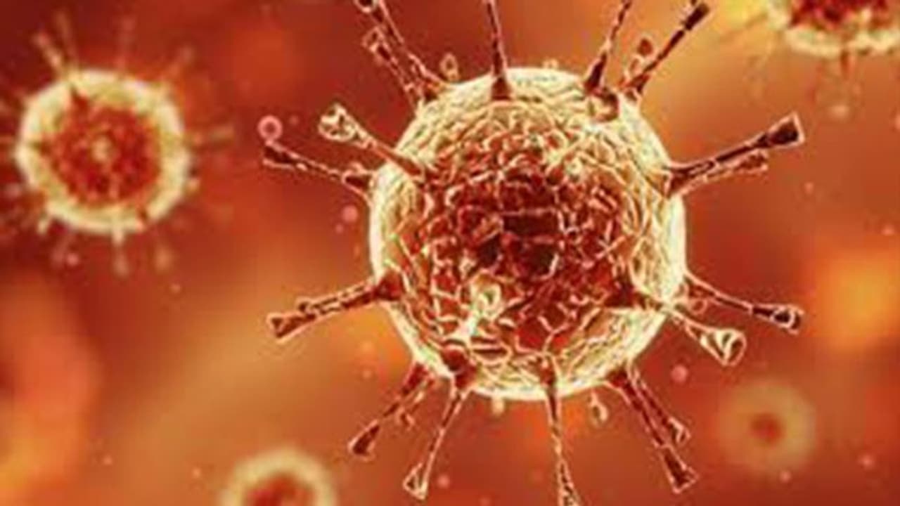 ಉಡುಪಿಯಲ್ಲಿ 121 ಪಾಸಿಟಿವ್‌, ಒಂದೇ ದಿನ 101 ಜನ ಬಿಡುಗಡೆ