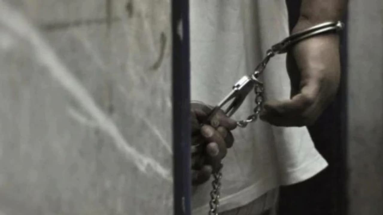 తన మీదనే మూత్ర విసర్జన చేసుకున్న ఆ దేశాధ్యక్షుడు!.. వీడియో వైరల్ అభియోగంపై ఆరుగురు జర్నలిస్టుల అరెస్టు తన మీదనే మూత్ర విసర్జన చేసుకున్న ఆ దేశాధ్యక్షుడు!.. వీడియో వైరల్ అభియోగంపై ఆరుగురు జర్నలిస్టుల అరెస్టు