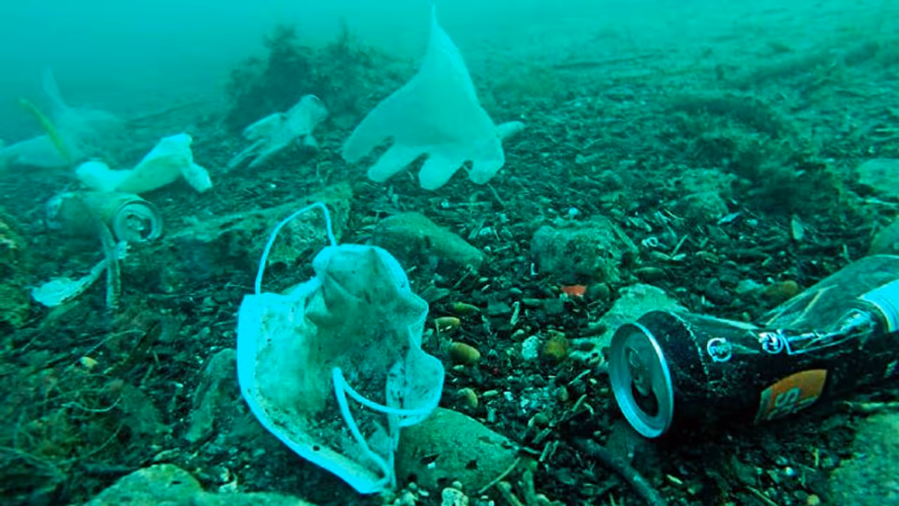 করোনার জেরে এবার বিপদ বাড়ছে জলেও, বিশ্ব সমুদ্র দিবসে সামনে এল ভয়ঙ্কর ছবি করোনার জেরে এবার বিপদ বাড়ছে জলেও, বিশ্ব সমুদ্র দিবসে সামনে এল ভয়ঙ্কর ছবি