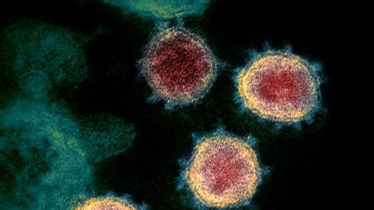 Tamil Nadu reports 1,927 new COVID 19 cases, 19 coronavirus deaths in 24 hours