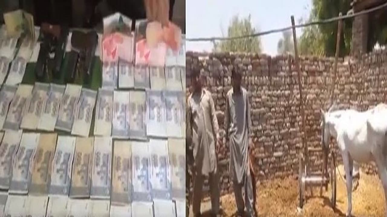 ಪಾಪ ಕತ್ತೆ, ಜೂಜಾಟದ ಕಿಂಗ್ಪಿನ್ ಅಂಥ ಬಂಧಿಸಿ ಕರೆತಂದ್ರು! ಪಾಪ ಕತ್ತೆ, ಜೂಜಾಟದ ಕಿಂಗ್ಪಿನ್ ಅಂಥ ಬಂಧಿಸಿ ಕರೆತಂದ್ರು!