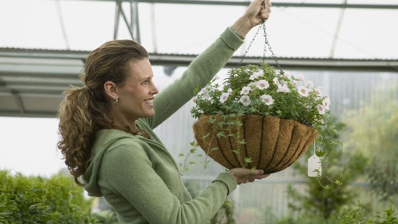 തൂക്കുപാത്രങ്ങളില് ചെടികള് വളര്ത്താന് ഇഷ്ടമാണോ? ഇക്കാര്യങ്ങള് ശ്രദ്ധിക്കണം തൂക്കുപാത്രങ്ങളില് ചെടികള് വളര്ത്താന് ഇഷ്ടമാണോ? ഇക്കാര്യങ്ങള് ശ്രദ്ധിക്കണം