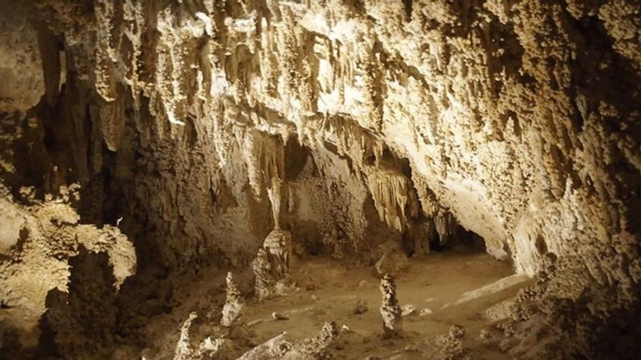 అడవిలో షికారుకెళ్లి... గుహలో ఇరుక్కుపోయి, 24 గంటలుగా నరకయాతన అడవిలో షికారుకెళ్లి... గుహలో ఇరుక్కుపోయి, 24 గంటలుగా నరకయాతన